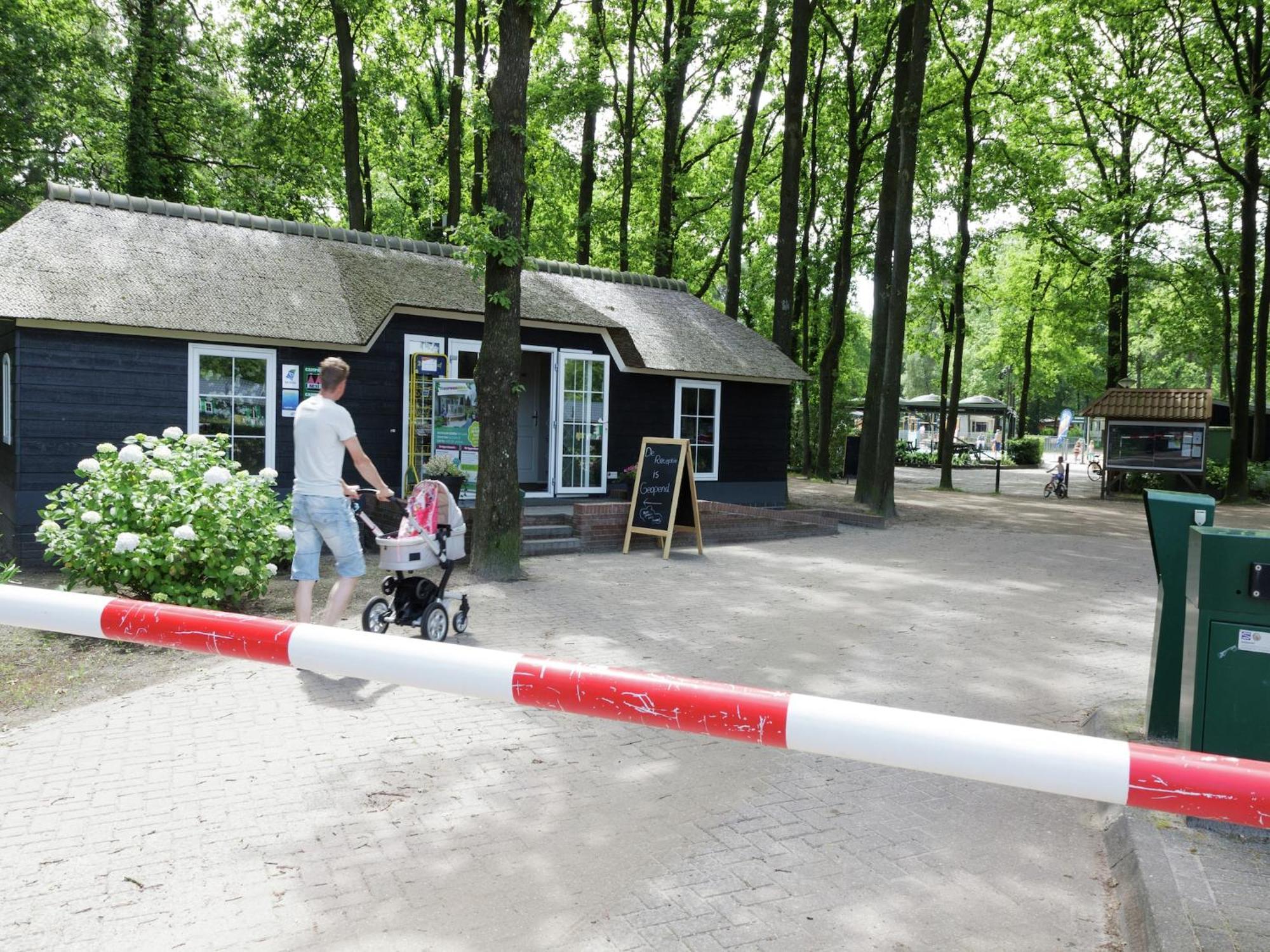 Chalet With Dishwasher, In Natural Environment IJhorst Exterior foto